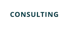 CONSULTING
